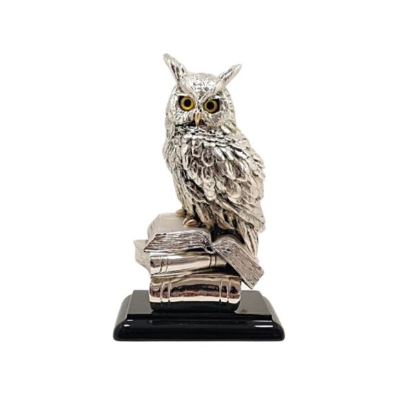 Graduation Owl on Books