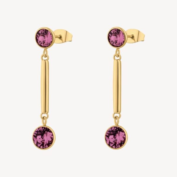 BROSWAY Affinity Earrings