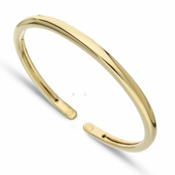 18kt Gold Bangle