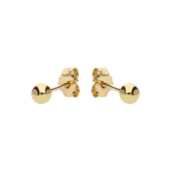 18kt Gold Earrings