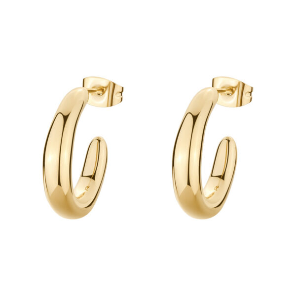 BROSWAY Essential Earrings