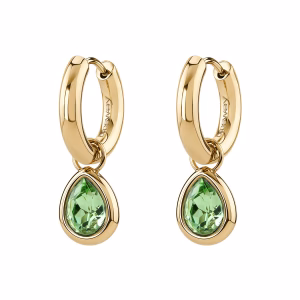 BROSWAY Symphonia Earrings